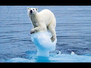 Climate change - ijsbeer